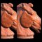 Selenes Chariot Pferdekopf aus Terrakotta, Ende 19. Jh. 3