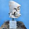 Italian Artist, Ulysses Head, Carrara Marble, 19th Century 4