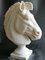 Italienischer Künstler, Pferdekopf, Frühes 20. Jh., Carrara Marmor 4