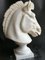 Italienischer Künstler, Pferdekopf, Frühes 20. Jh., Carrara Marmor 3