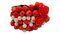 Vintage Bracelet in Carved Red Coral and Pearl Beads, 1970, Image 2