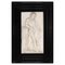 Carrara Marmor Flachrelief mit Darstellung von Apollo, Italien, 18. Jh. 1