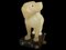 Perro pequeño de alabastro, siglo XIX, Imagen 7