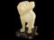 Small Alabaster Dog, 19th Century 5