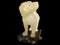 Small Alabaster Dog, 19th Century, Image 5