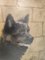 George Etheridge, perro, del siglo XIX, óleo sobre lienzo, Imagen 10
