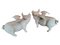 Pigs with Wings in Wrought Iron, 20th Century, Set of 2 2
