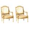 French Louis XVI Style Armchairs, 19th Century, Set of 2 1