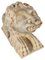 Italienischer römischer Löwe aus Marmor, 12. Jh. 7