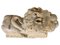 Italienischer römischer Löwe aus Marmor, 12. Jh. 12