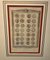 English Artist, New Collection of English Coins, 19th Century, Print, Framed 4