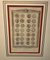 English Artist, New Collection of English Coins, 19th Century, Print, Framed, Image 4