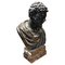 Busto grande imperatore romano, bronzo, XIX secolo, Immagine 1