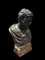 Busto grande imperatore romano, bronzo, XIX secolo, Immagine 2