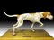 Porcelain Pointer, Early 20th Century 4