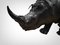 Rinoceronte grande de cuero, años 50, Imagen 5