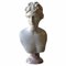 Italian Artist, Venere Medici Head, Early 20th Century, Marble 10