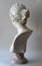 Italian Artist, Venere Medici Head, Early 20th Century, Marble 9