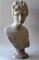 Italian Artist, Venere Medici Head, Early 20th Century, Marble, Image 8