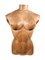 French Wooden Female Torso, 1950s 13