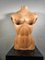 French Wooden Female Torso, 1950s 4