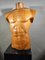 French Wooden Male Torso, 1950s 11