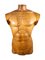 French Wooden Male Torso, 1950s 2