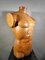 French Wooden Male Torso, 1950s 7