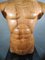 French Wooden Male Torso, 1950s 6