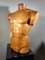 French Wooden Male Torso, 1950s 10