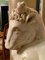 Artiste Italien, Minotaures, 17ème Siècle, Sculptures en Marbre de Carrare, Set de 2 8