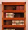 Bookcase in Fruit Wood from Globe Wernicke, Image 12