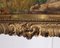 Philippe Swyncop, La pace e le arti valgono più della brutale gloria delle armi, 1903, olio su tela, con cornice, Immagine 20