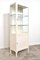 Medical Cabinet in Iron and Glass, 1960s 3