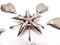 Cendrier Flower in Silver Metal from Gucci, 1970, Image 7