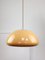 Mid-Century Modern Cabras Ceiling Lamp by Luigi Massoni for Guzzini, 1960s 1