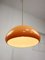 Mid-Century Modern Cabras Ceiling Lamp by Luigi Massoni for Guzzini, 1960s 10