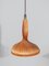 Lámpara de madera natural atribuida a Hans-Agne Jakobsson para Ab Ellysett Markaryd, Suecia, 1959, Imagen 6