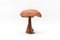 Grand Champignon Mid-Century Moderne, 1960s 2