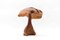 Grand Champignon Mid-Century Moderne, 1960s 7