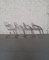 Dining Chairs by Gastone Rinaldi, Set of 4 2