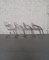 Dining Chairs by Gastone Rinaldi, Set of 4, Image 2