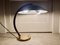 Bauhaus Desk Lamp in Brass by Egon Hillebrand for Hillebrand, 1950s 15