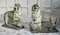 Medici Stone Lions, 1920, Set of 2 1