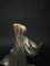 Statua Art Deco della ballerina velata di Serge Zelikson, Immagine 10