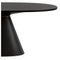 Wood and Fiberglass Dining Table by Thai Natura 3