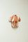 Terracotta Brut Body Sconces by Di Fretto, Set of 2, Image 10