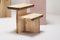 Tavolino da caffè in legno strappato di Willem Van Hooff, Immagine 2
