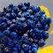Rafal Gadowski, Blueberries 04, Öl auf Leinwand, 2024 1