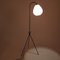 French Floor Lamp by Jean Rispal for Rispal, 1955, Image 8